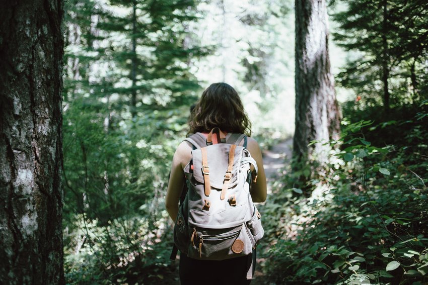 The forest beckons. And if you're concerned for this hiker, we're sure she's sprayed with tick repellent.